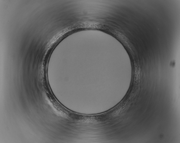 X0000115530674200911271347