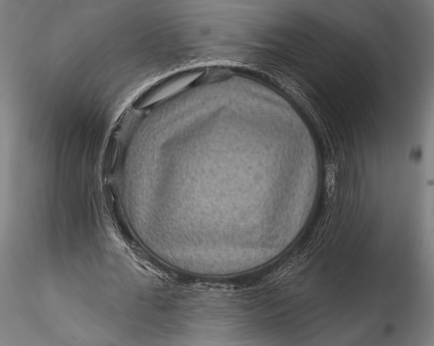 X0000115530676200911271347