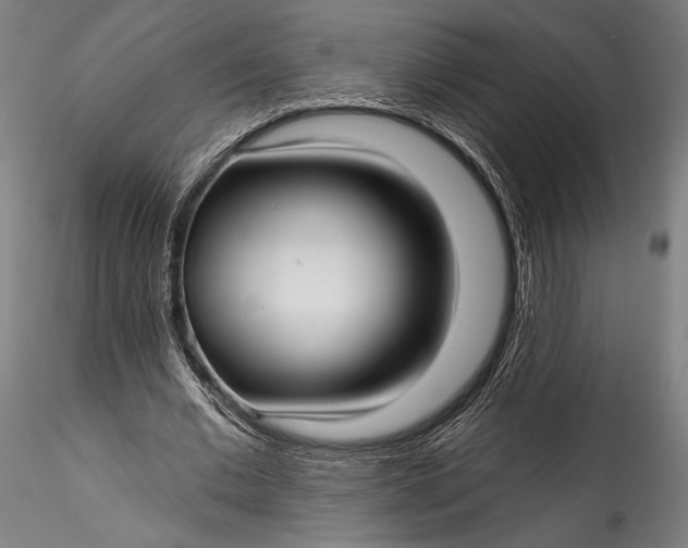 X0000115530677200911271347