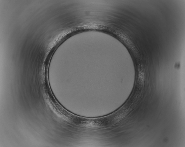 X0000115530678200911271347