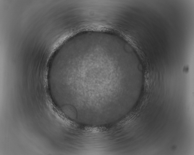 X0000115530679200911271347