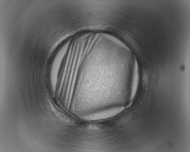 X0000115530684200911271347