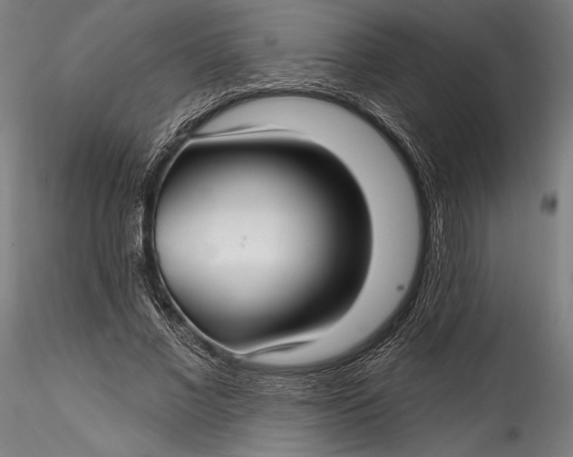 X0000115530685200911271347