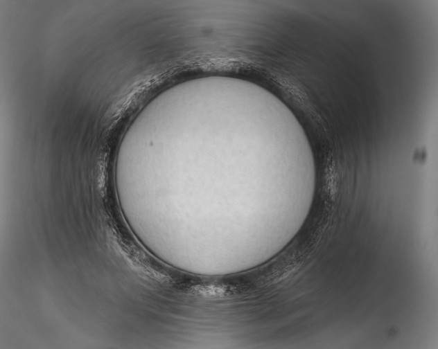 X0000115530687200911271347