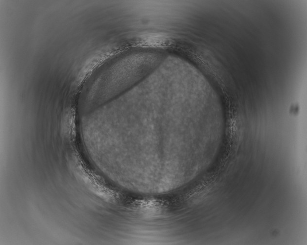 X0000115530688200911271347