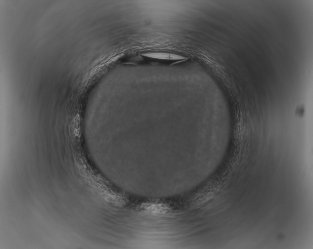 X0000115530689200911271347