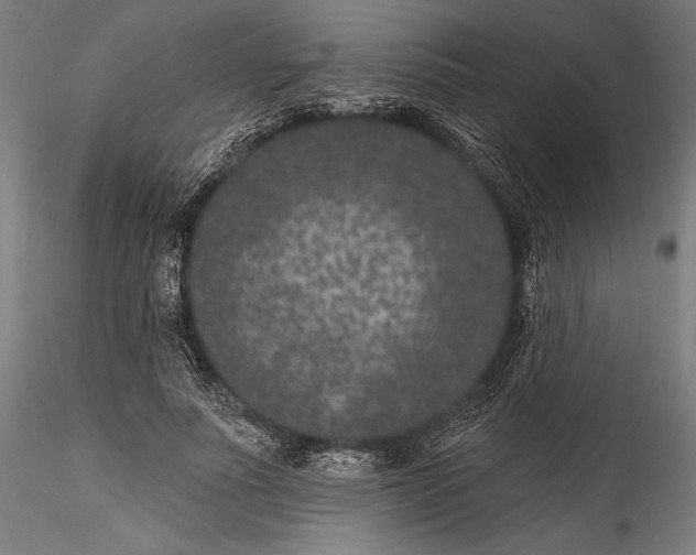 X0000115530691200911271347