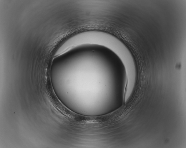 X0000115530692200911271347