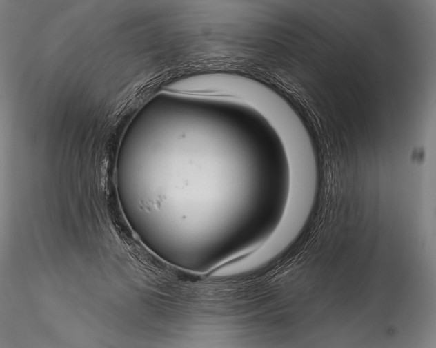 X0000115530693200911271347