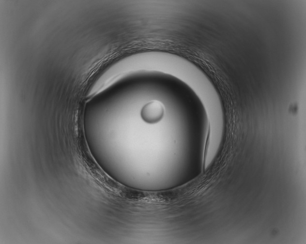 X0000115530696200911271346