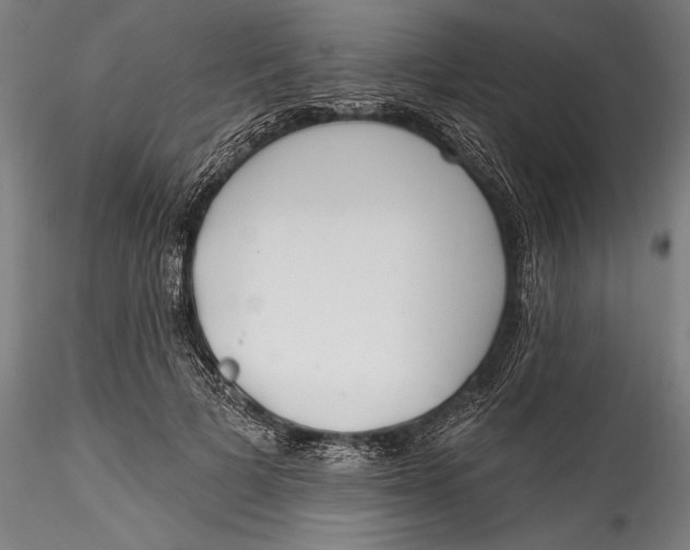 X0000115530697200911271346