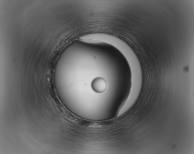 X0000115530701200911271346