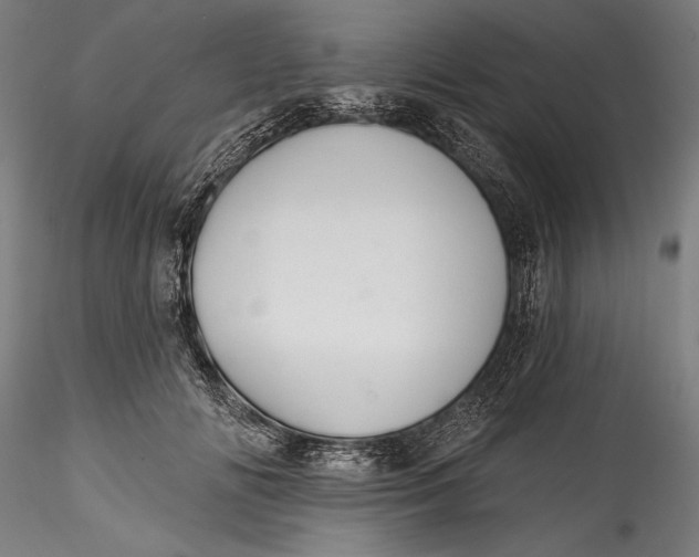 X0000115530702200911271346