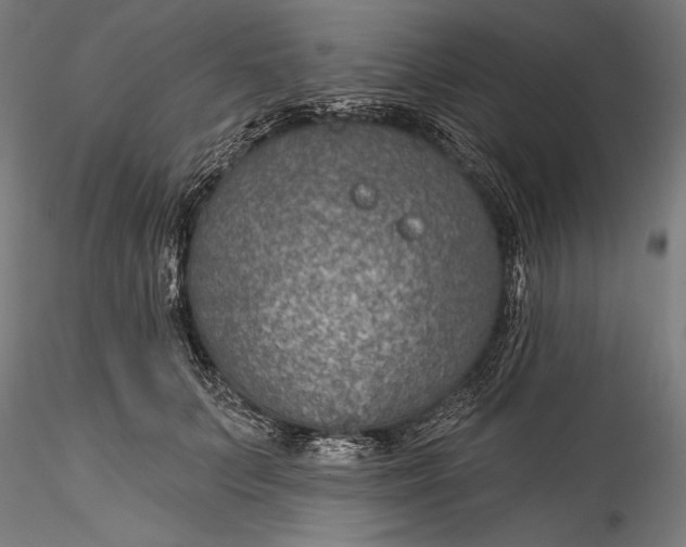 X0000115530703200911271346