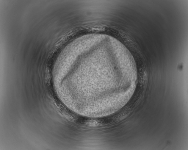 X0000115530704200911271346