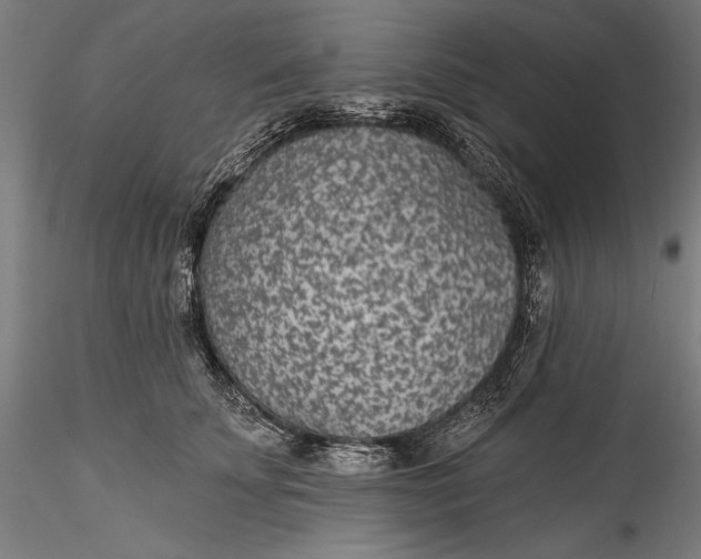 X0000115530707200911271346