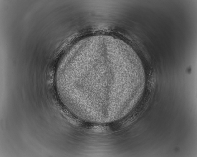 X0000115530708200911271346