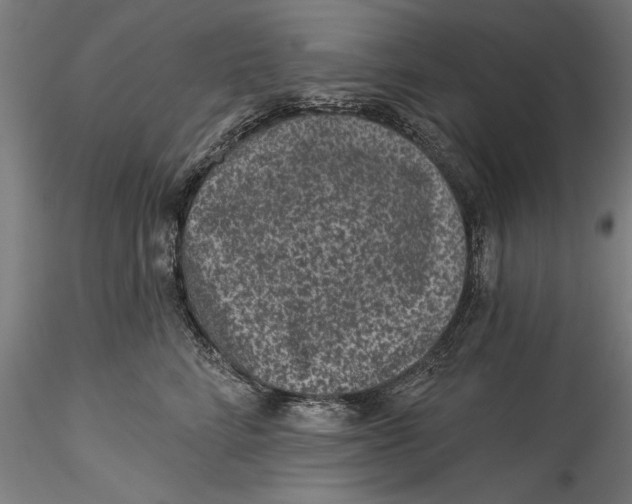 X0000115530712200911271346