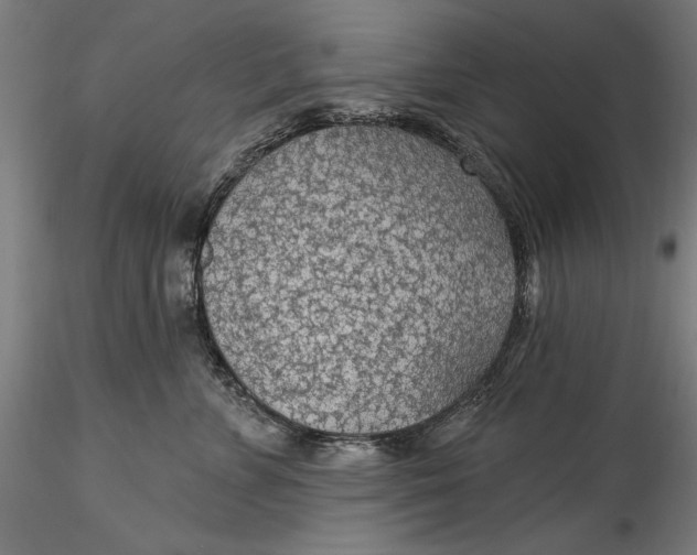 X0000115530715200911271346