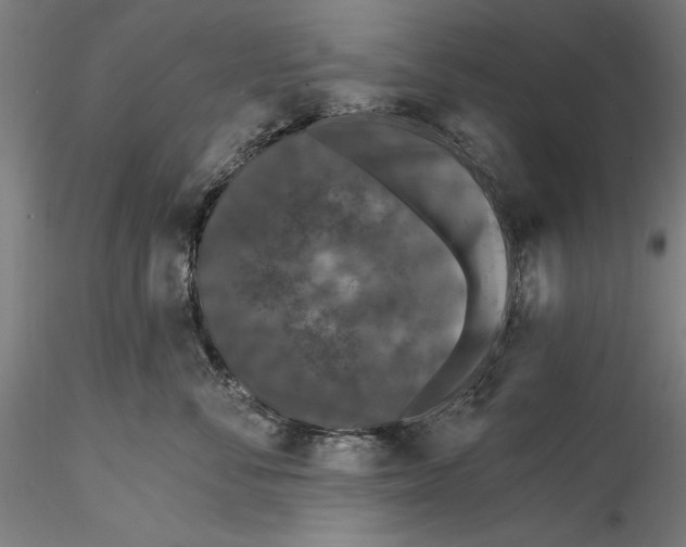 X0000115530716200911271346