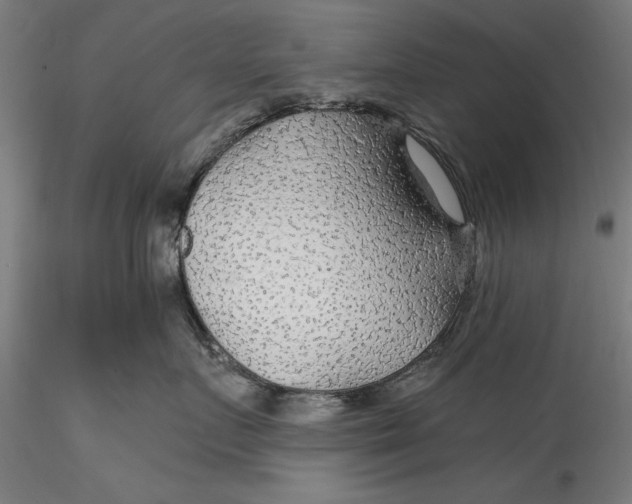 X0000115530719200911271346