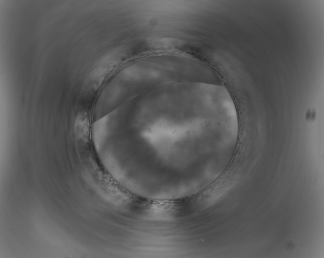 X0000115530720200911271346