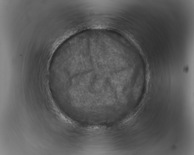 X0000115530721200911271345