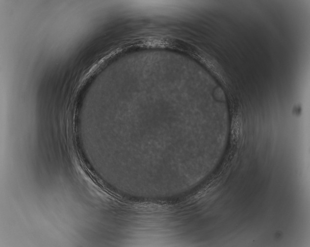 X0000115530722200911271346