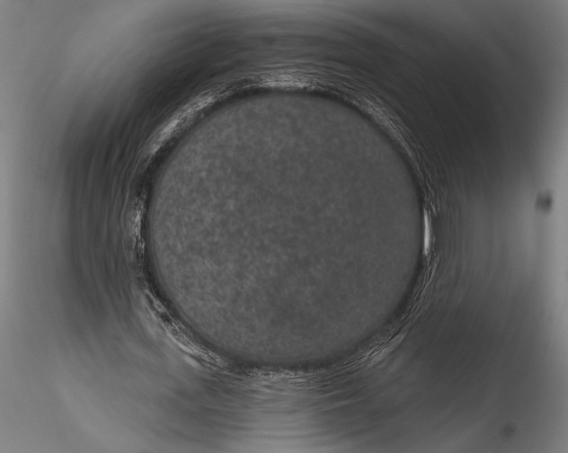 X0000115530723200911271346