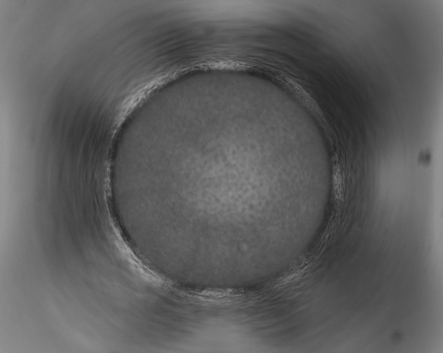 X0000115530725200911271346