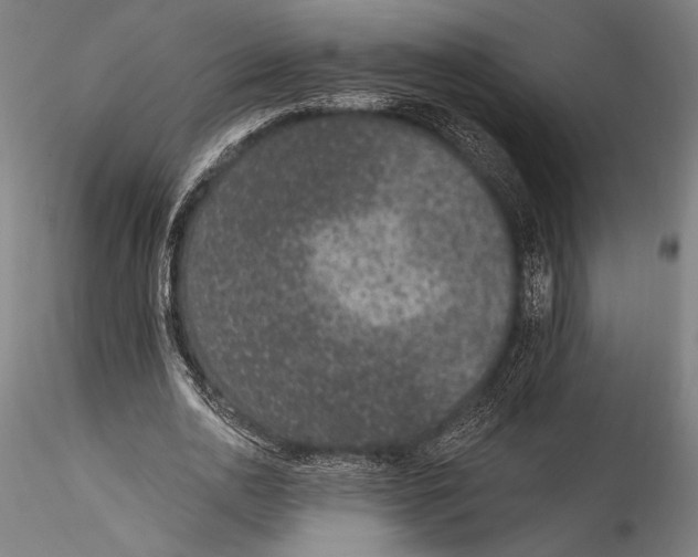 X0000115530726200911271346