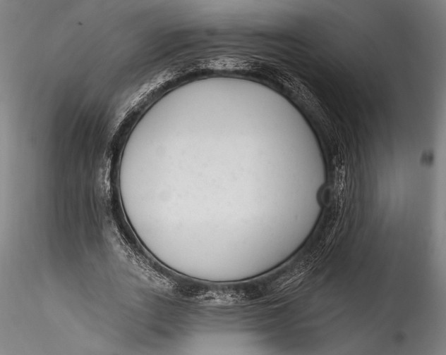 X0000115530727200911271346