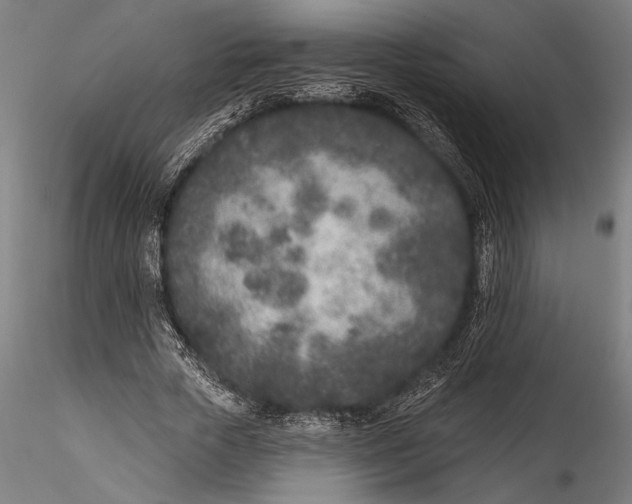 X0000115530729200911271346