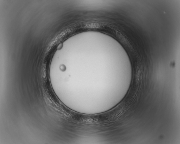 X0000115530731200911271346