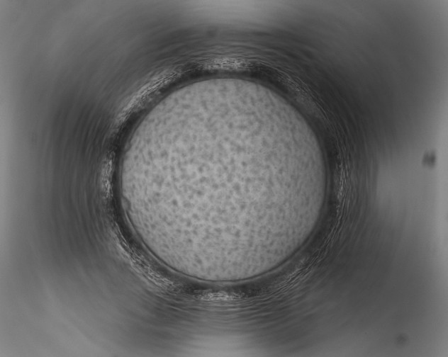 X0000115530735200911271346