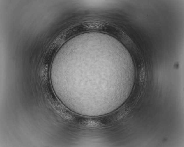 X0000115530737200911271346