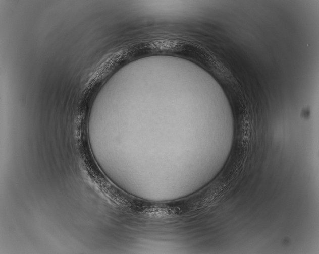 X0000115530738200911271346