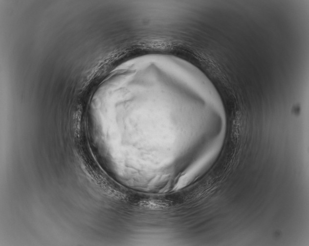 X0000115530739200911271346