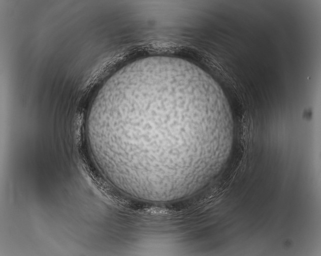 X0000115530742200911271346