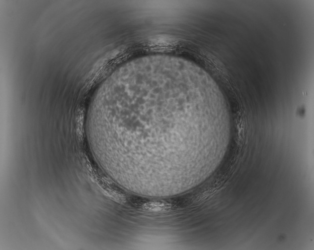 X0000115530745200911271346