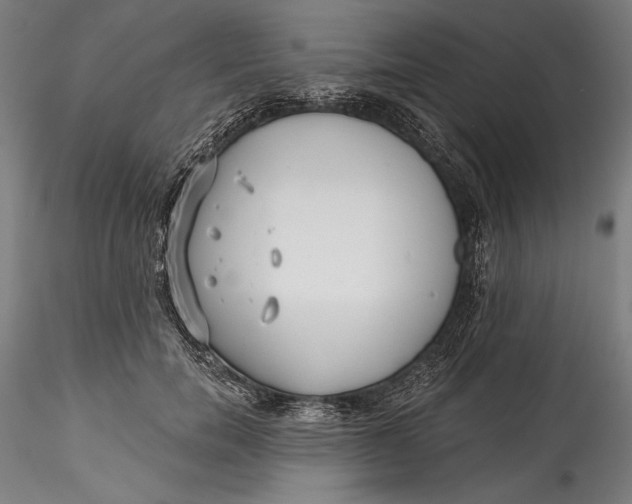 X0000115530750200911271346