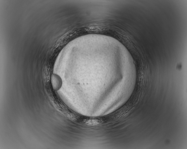 X0000115530751200911271346