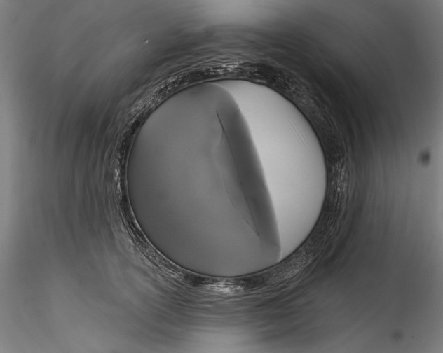 X0000115530754200911271346