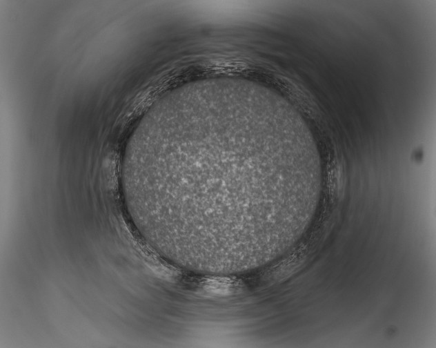 X0000115530757200911271346