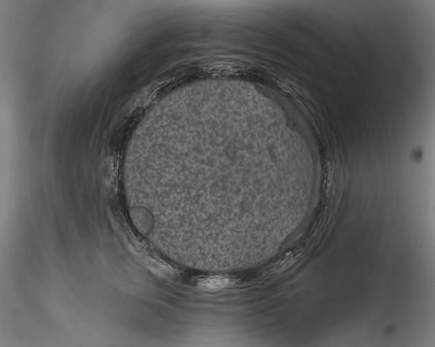 X0000115530759200911271346