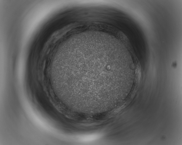 X0000115530765200911271346