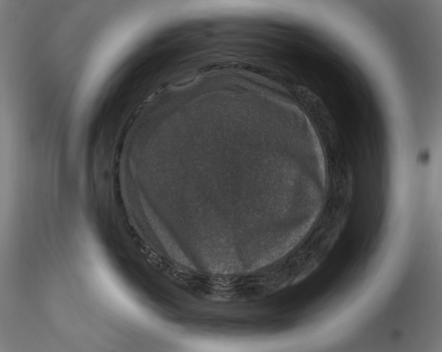 X0000115530766200911271346