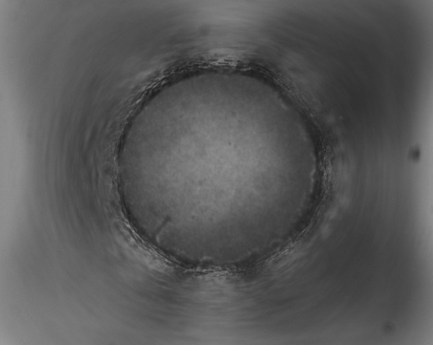 X0000115530769200911271345