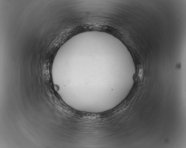 X0000115530771200911271345