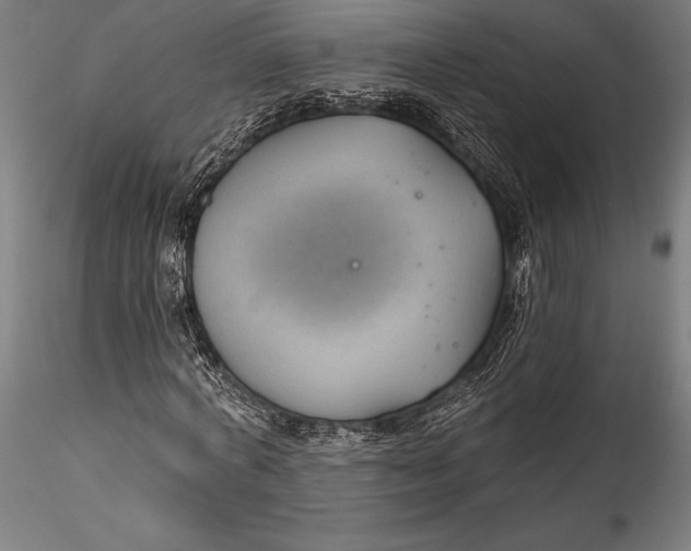 X0000115530772200911271345